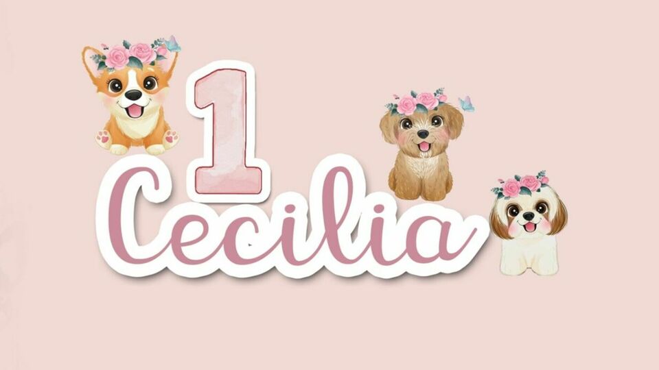 Cumple de Ceci
